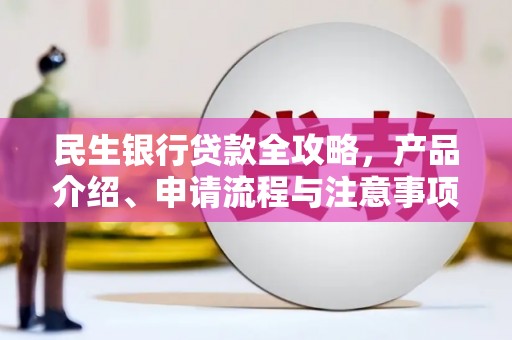 金阳民生银行贷款全攻略，产品介绍、申请流程与注意事项